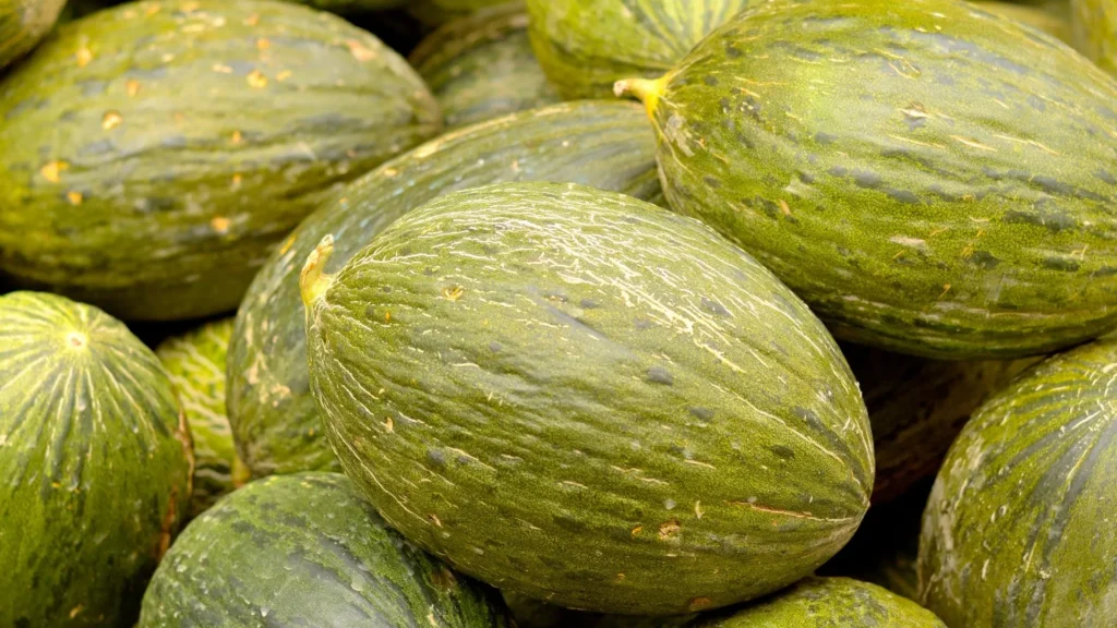 melones